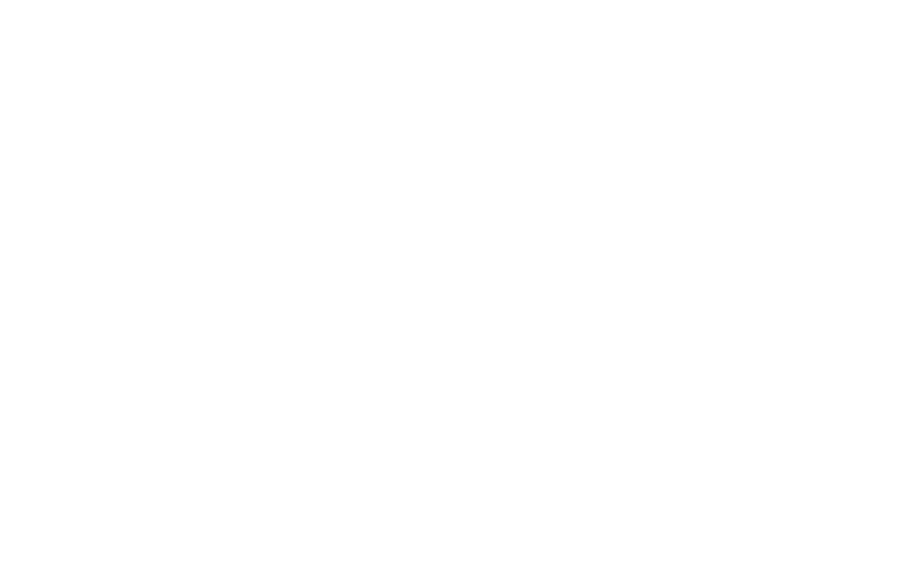 pla.net logo